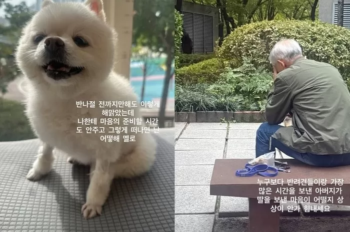 소셜미디어