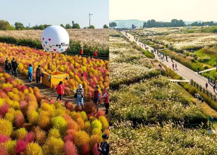 Instagram 'seoul_official'