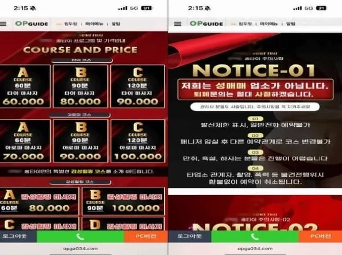인터넷과 전단지 등을 통해 출장 마사지로 위장한 성매매 알선. 서울경찰청 풍속범죄수사팀 제공