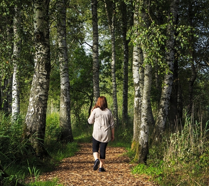 “직장인들 주목”... 운동 따로 안 해도 하루 30분 ‘이것’ 줄이면 혈당 수치 잡을 수 있다