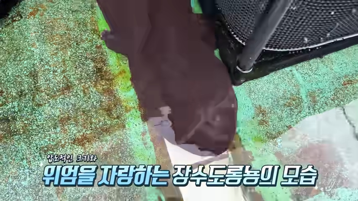 제가 본 가장 충격적인 생물입니다ㄷㄷ 오래된 수영장안에 사람만한 괴물도롱뇽들이 바글바글하네요 13-16 screenshot.png