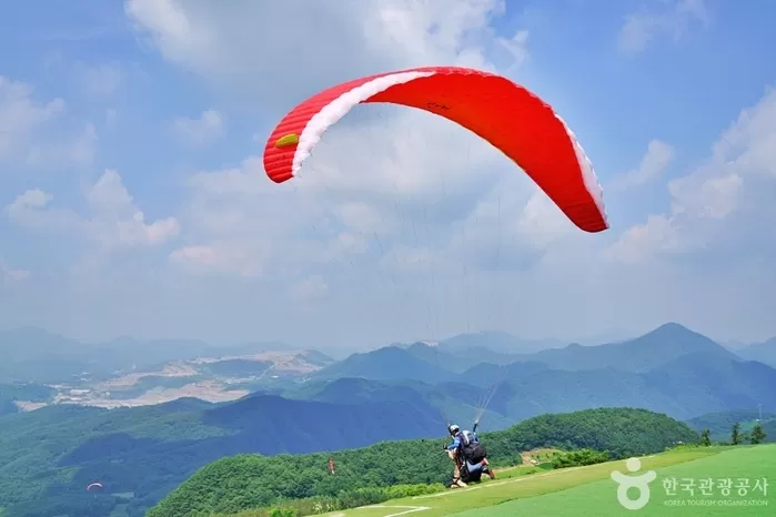 단양 패러 명가 1