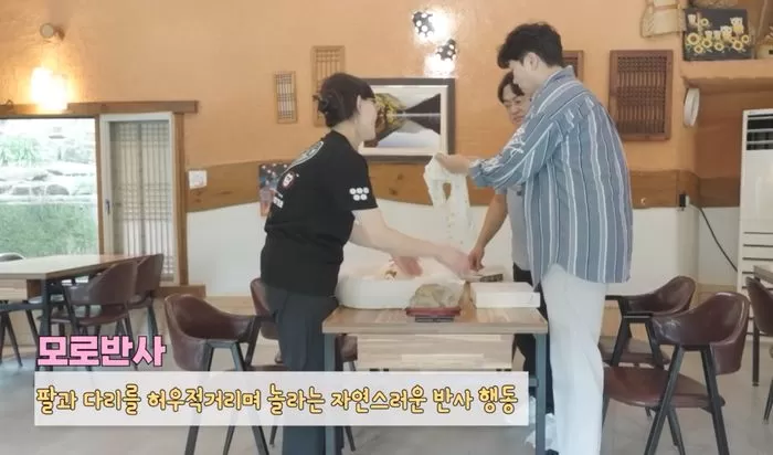 인사이트