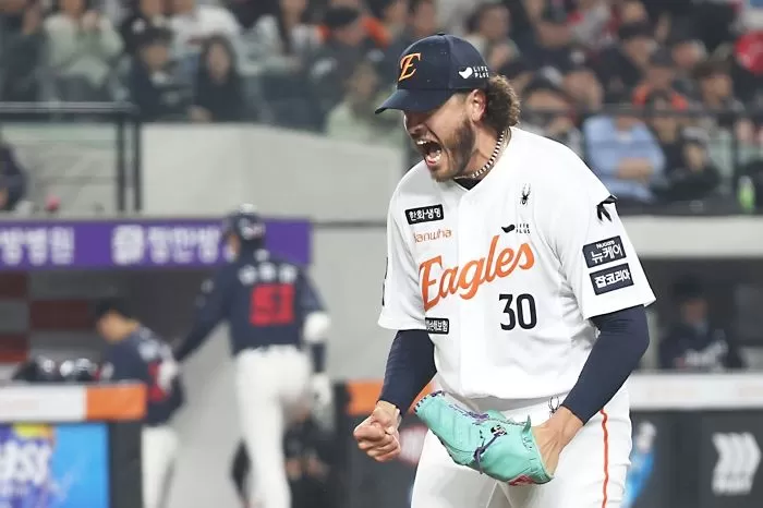 뉴스1