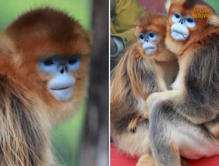 2025-10-28 13 06 41.jpg