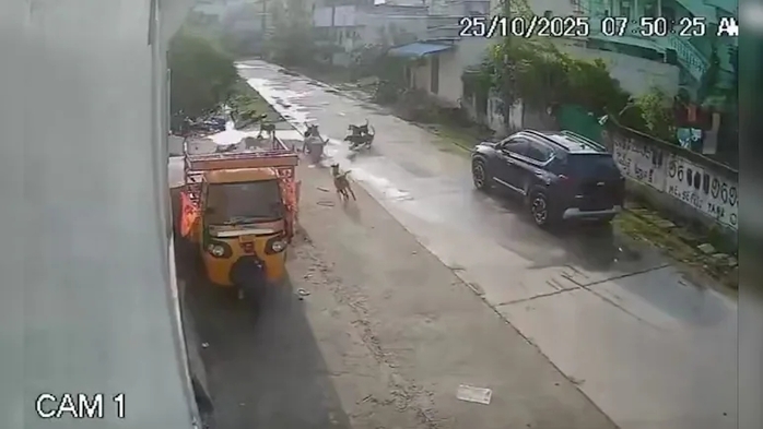 대낮 주택가서 ‘유기견떼 습격’ 당한 7살 소녀... CCTV에 포착된 충격적 순간