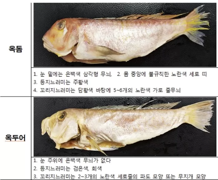 옥돔과 옥두어의 생김새 차이. 식약처 제공