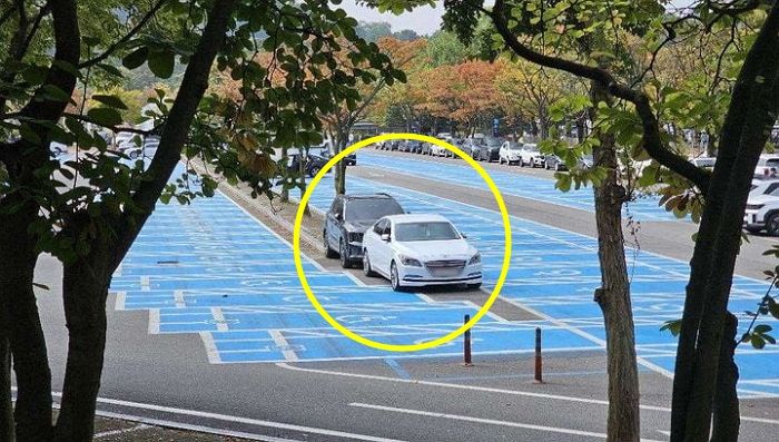 “장애인 주차구역 피해 줄줄이 인도에 주차”... 공분 일으킨 서울대공원 주차장 사진 한 장