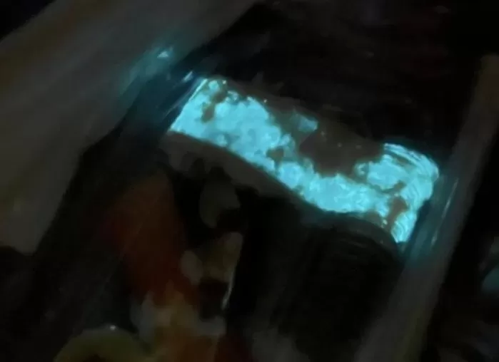 달걀 초밥에서 나타난 기이한 푸른 빛... “절대 먹지 말라” 경고