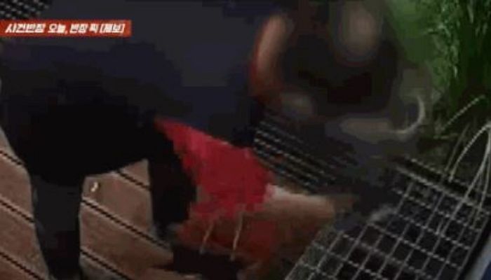 상가 앞 화분·택배까지 싹쓸이... CCTV에 찍힌 ‘동네 절도범’에 자영업자 분통