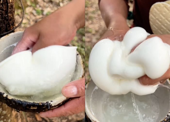 한국인들 사이서 인기 폭발해 ‘2천만’ 조회수 찍은 영상... 무슨 내용인지 봤더니