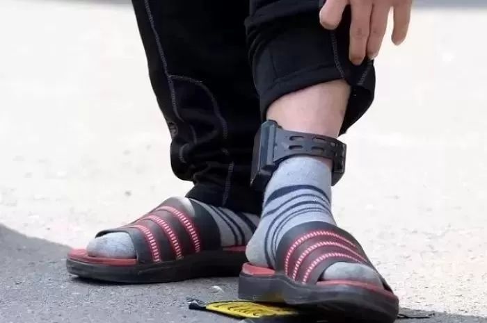 성범죄자 202명 ‘소재불명’... 120명은 1년 넘게 검거 못 해