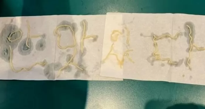 [서울=뉴시스] 한 식당에서 손님이 음식을 남김없이 먹고 난 뒤 안 맛있다라는 문구를 남기고 간 일화가 전해졌다. (사진 = JTBC News 유튜브 캡처) 2025.10.3...