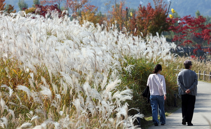 11월 시작 첫날 전국 흐림, 낮 최고 기온은 20도까지 상승