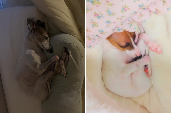 2025-11-04 15 47 34.jpg