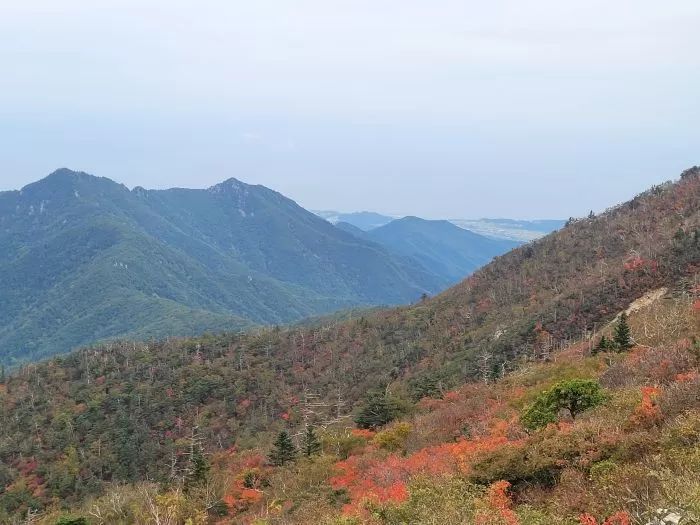 “설악산 단풍부터 외옹치항까지”... 속초 유명 관광지부터 숨은 명소까지 총정리