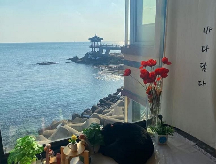 Instagram 'cafe_bada_damda'