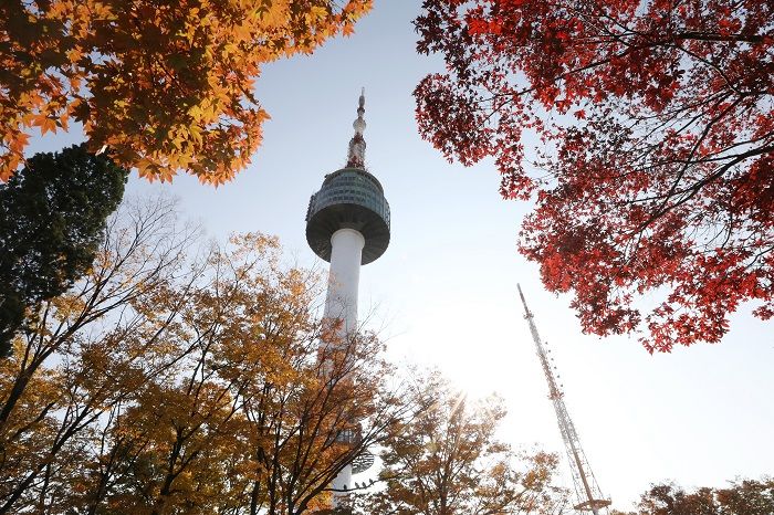 “이번 주말 데이트 갈래?”... 더 추워지기 전, 연인과 함께 가봐야 할 로맨틱 ‘야경’ 명소 4
