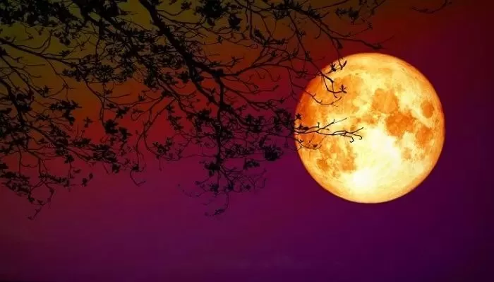 오늘밤 6년 만에 가장 큰 보름달 ‘슈퍼문’ 뜬다