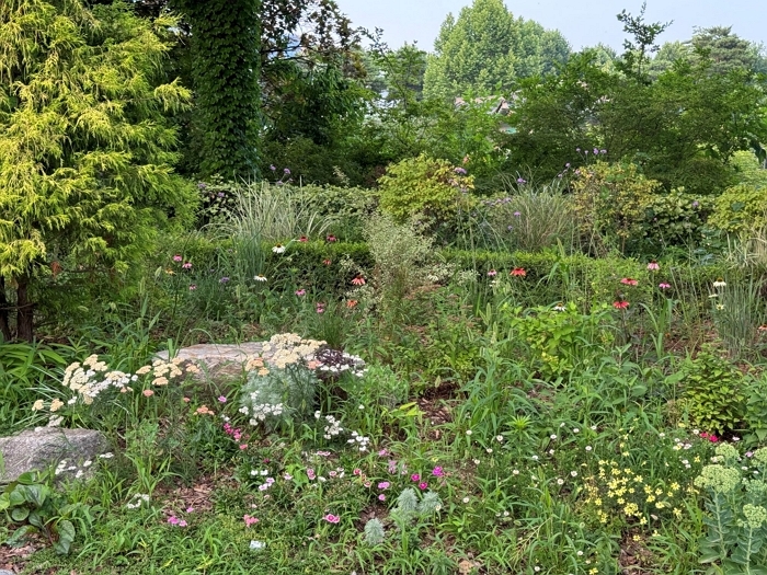 2024년 사업지 어린이대공원 비밀정원의 현재 모습.jpg