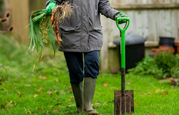 집 정원 파다가 ‘금괴·금화’ 발견한 남성... “11억 가치”