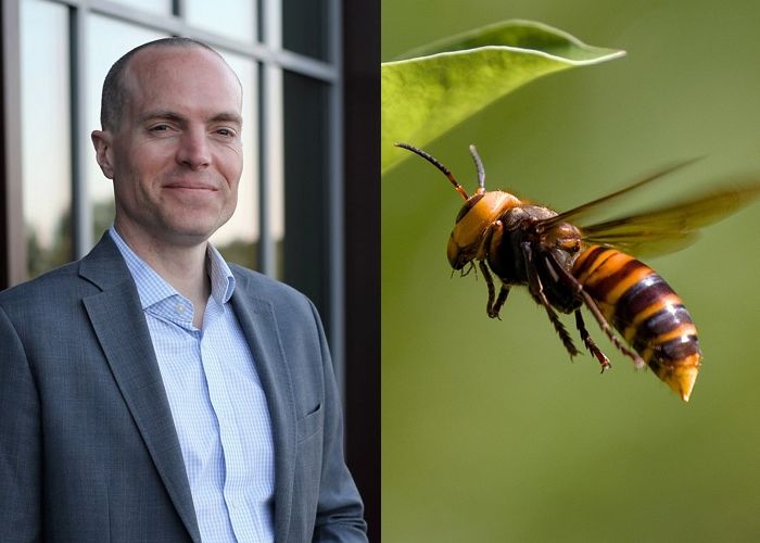 라오스서 ‘집라인’ 체험하던 관광객 父子, 말벌떼 공격에 사망