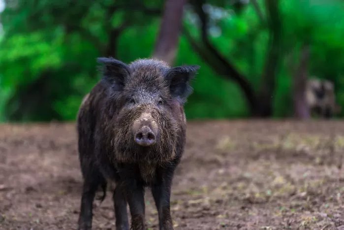 기사의 이해를 돕기 위한 자료 사진 / gettyimagesBank