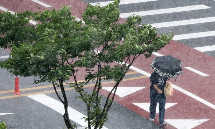 “포근함에 속지 마세요”... 오늘(8일) 오후부터 전국 곳곳에 비