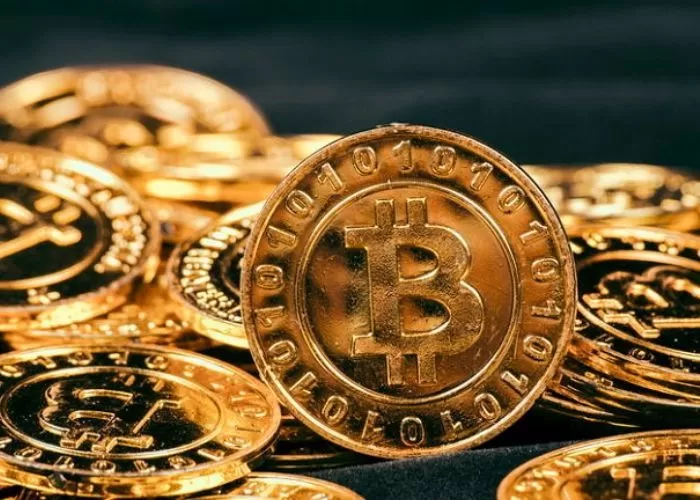 실험하려고 13년 전 비트코인 샀는데 1000배 폭등 대박난 연구소 매각 결정