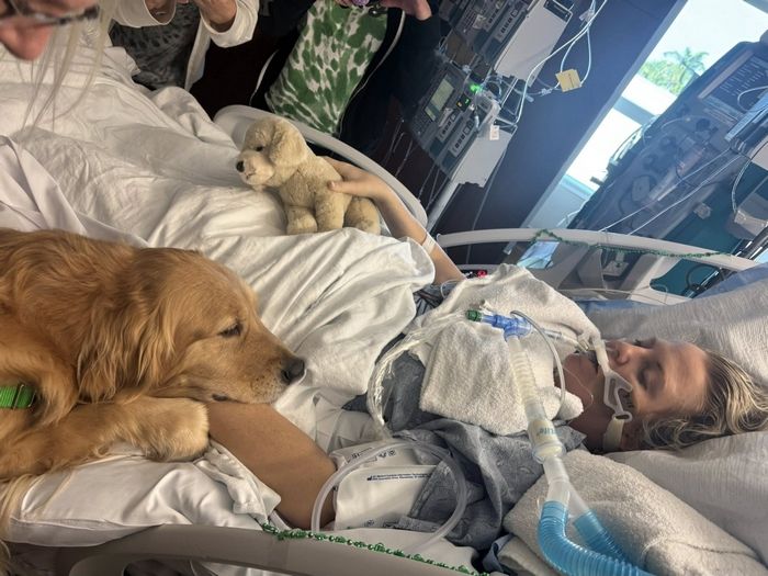 혼수상태 환자 손에 강아지가 발 얹자 ‘파르르’... 치료견이 만든 기적의 순간 (영상)