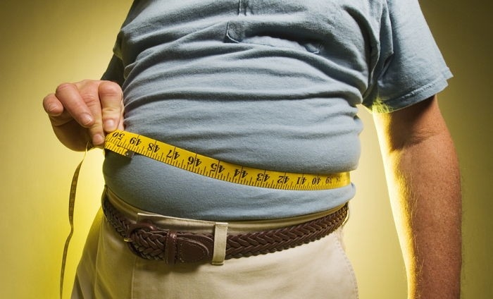 성인 3명 중 1명 ‘비만’... 10년 새 30% 급증, 대한민국 ‘건강 적신호’ 켜졌다