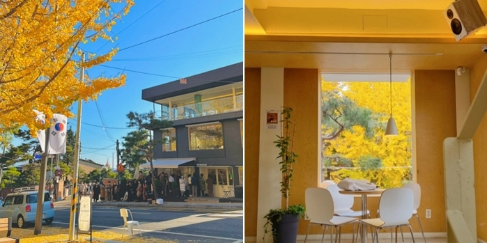 “지금이 절정!”... 남친과 가을 인생샷 남기기 좋은 ‘은행나무 명소’ 5곳