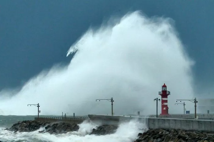 “나가지 마” 경고 무시한 관광객 3명 ‘괴물 파도’에 휩쓸려 숨져