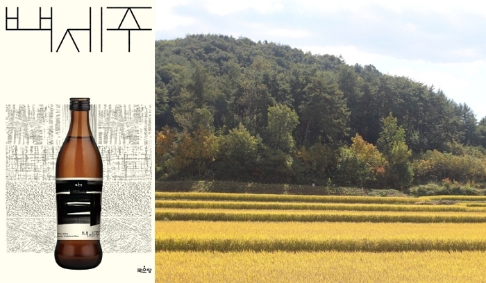 백세주 빚는 쌀 ‘설갱미’, 국순당이 올해도 직접 수매... 전통주 산업의 뿌리 지킨다