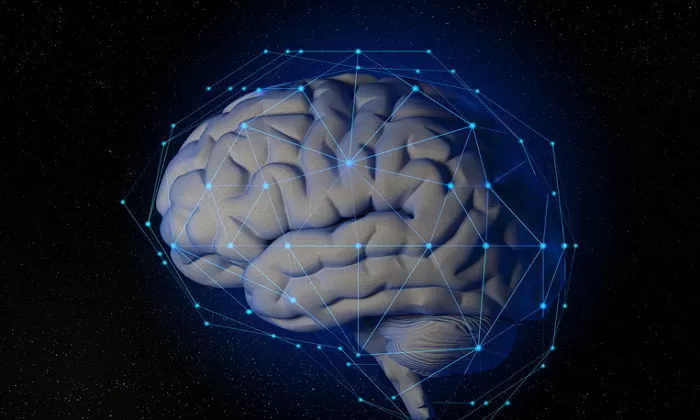 IQ, 노력만으로 바뀐다?... 과학적으로 입증된 ‘뇌 훈련법’ 7가지