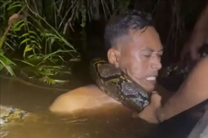 인도네시아서 ‘6m 비단뱀’에 휘감겨 물속으로 끌려간 남성... 사투 끝에 ‘극적 구조’