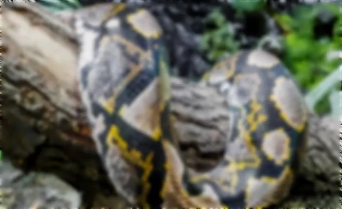 기사의 이해를 돕기 위한 자료 사진 / gettyimagesBank