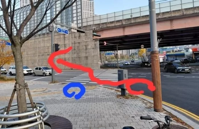 당시 시민이 서 있던 위치(파란색)와 배달기사의 이동 경로(빨간색). 보배드림 캡처