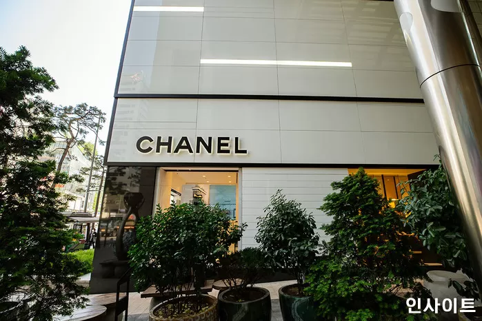 사진 = 인사이트