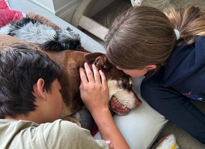 2025-11-13 08 28 49.jpg