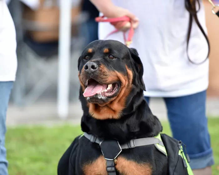 기사의 이해를 돕기 위한 자료 사진 / gettyimagesBank