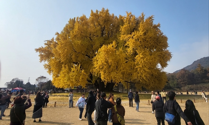 15일 토요일 아침 최저 -2도, 오후 완연한 가을날씨 전망