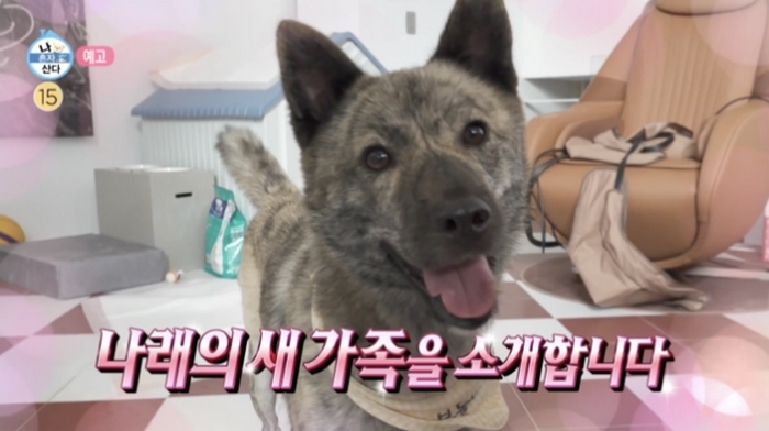 박나래, 돌아가신 조부모가 키우던 진돗개 입양... ‘55억 자가’서 개인 과외까지