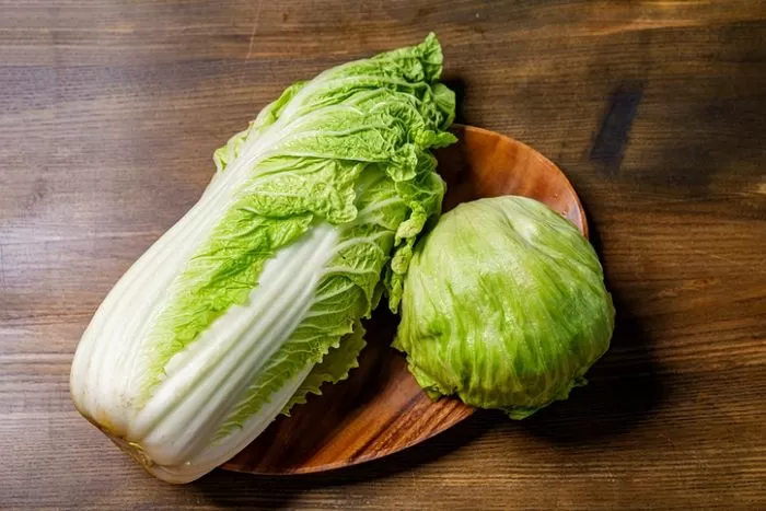 기사의 이해를 돕기 위한 자료 사진 / gettyimagesBank