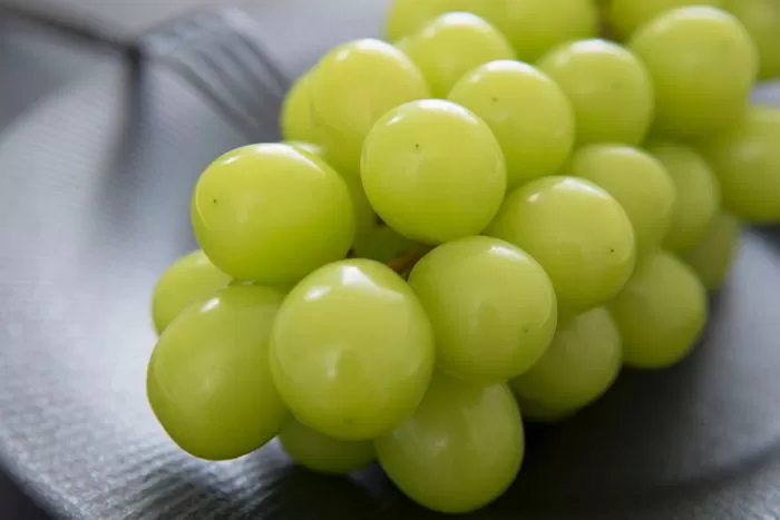 기사의 이해를 돕기 위한 자료 사진 / gettyimagesBank