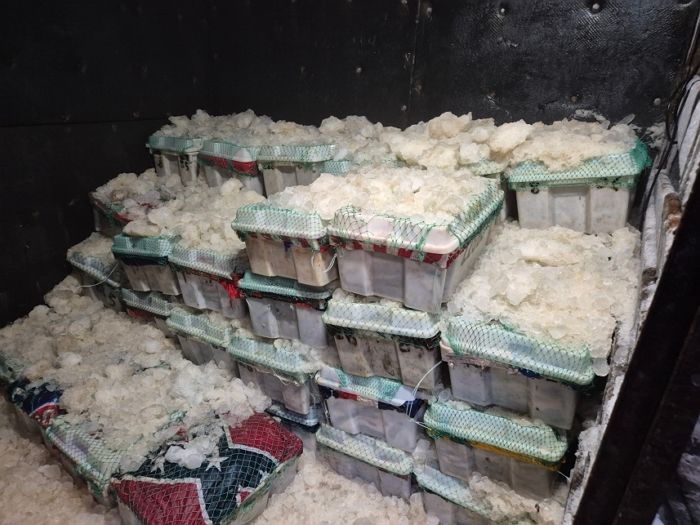 제주 해역서 불법 조업 中 어선 적발... 검문하자 ‘꽃게·잡어 75상자’ 와르르