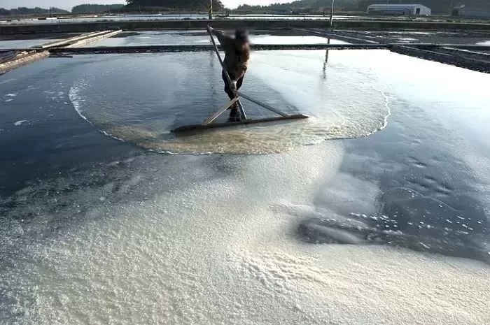 기사와 관련 없는 자료 사진 / gettyimagesBank