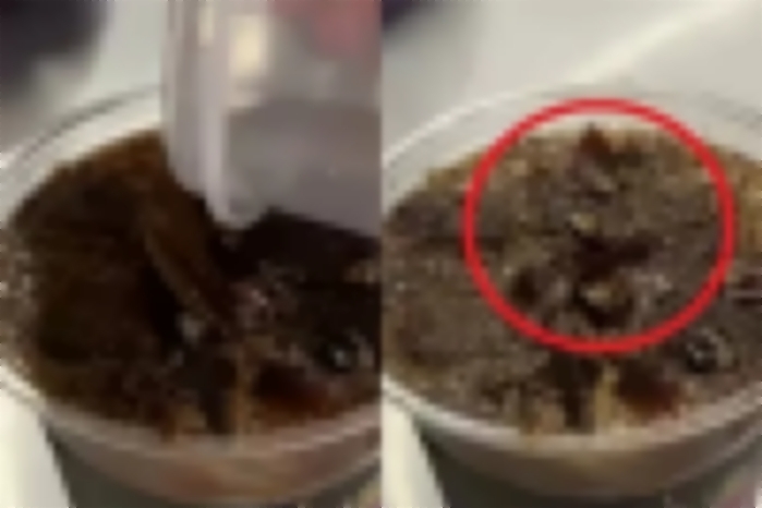 ‘바퀴벌레 토핑’ 커피 출시한 중국 카페... “젊은 사람들이 주요 고객층”