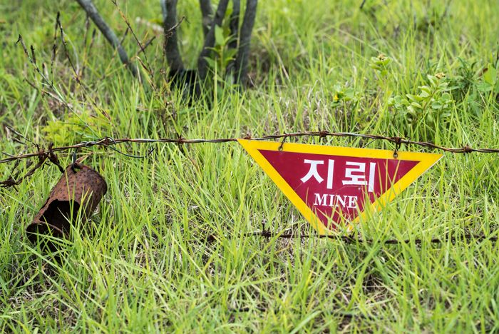 파주 DMZ서 지뢰 탐지하던 20대 하사, 원인불명 폭발로 부상