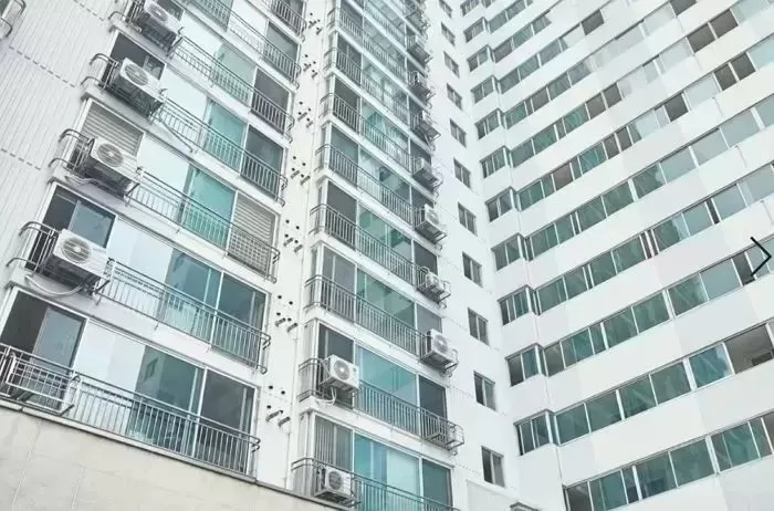 임대 아파트,무당,입주 고민,아침 굿,임대 카페